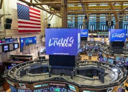 Обоснованная конспирология: Путин и Трамп вместе валят новый порядок