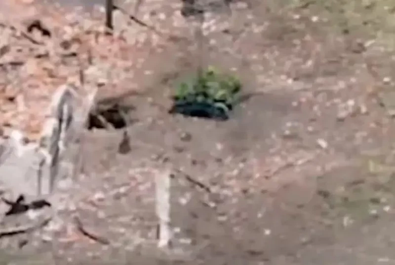 Наземный дрон «Крот-1» подавил огневую точку ВСУ, позволив российским бойцам успешно провести штурм Дылеевки под Торецком