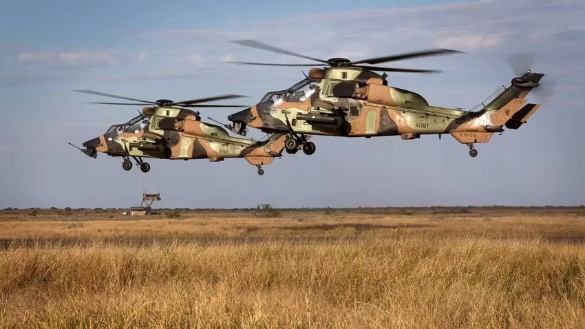 «Под вопросом боеготовность Tiger»: интерес ВСУ может оказаться неоправданным